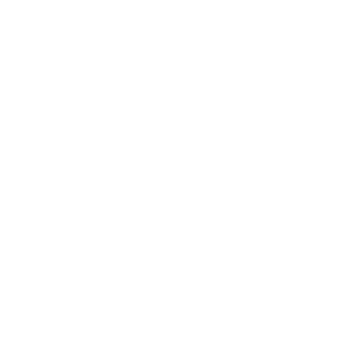 Skilled, Professional Technicians